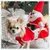IntiMeg Weihnachtsmann-Mantel für Hunde IntiMeg Weihnachtsmann-Mantel für Hunde
