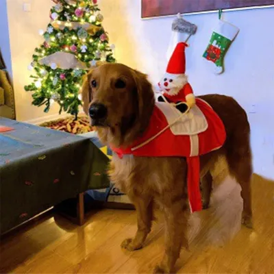IntiMeg Weihnachtsmann-Mantel für Hunde IntiMeg Weihnachtsmann-Mantel für Hunde