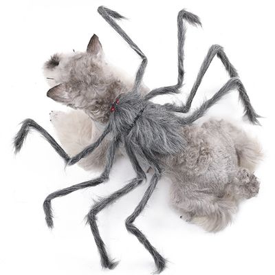 IntiMeg Costume d'araignée pour chien