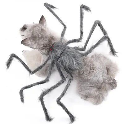 IntiMeg Spinnenkostüm für Hunde IntiMeg Spinnenkostüm für Hunde