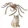 Marrón