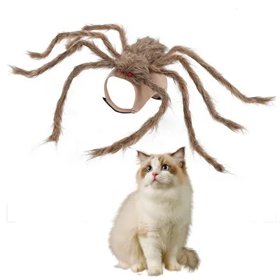 IntiMeg Spinnenkostüm für Katzen und Hunde – S