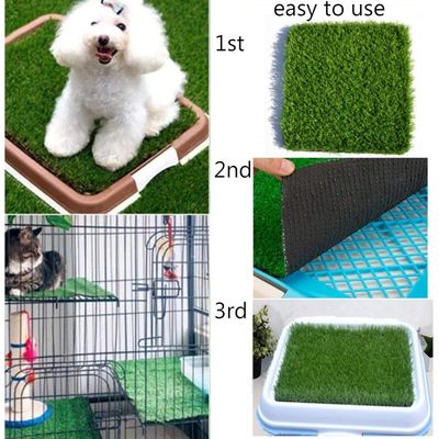 ZooVenture Alfombra de césped artificial para ponederos de gallinas