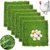 ZooVenture Tapis de gazon artificiel pour nichoirs de poules
