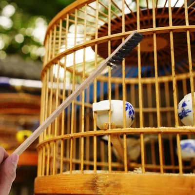 ZooVenture Lot de 3 brosses de nettoyage en bois pour cage d'oiseaux