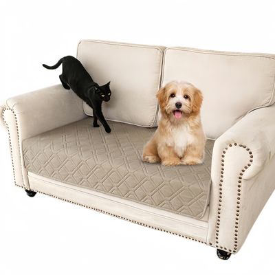 ZooVenture Tapis Couverture pour lit de chien