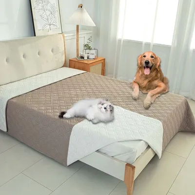 ZooVenture Tapis Couverture pour lit de chien ZooVenture Tapis Couverture pour lit de chien