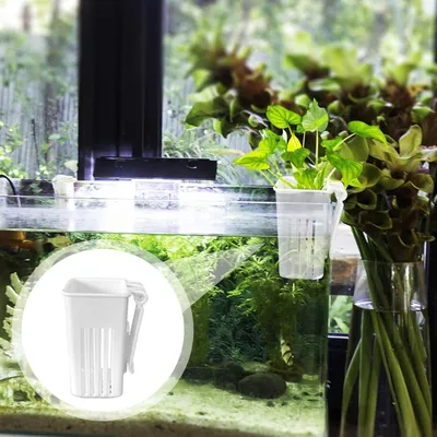 ZooVenture Lot de 2 supports de plantes pour aquarium