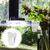 ZooVenture Lot de 2 supports de plantes pour aquarium