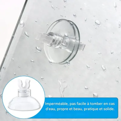 ZooVenture Lot de 50 ventouses transparentes pour aquarium