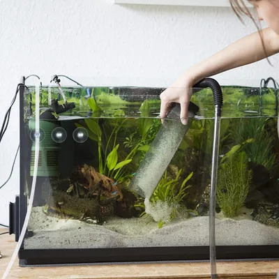 ZooVenture Lot de 50 ventouses transparentes pour aquarium
