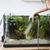 ZooVenture Lot de 50 ventouses transparentes pour aquarium