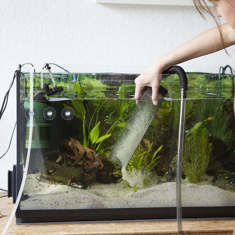 ZooVenture Lot de 50 ventouses transparentes pour aquarium