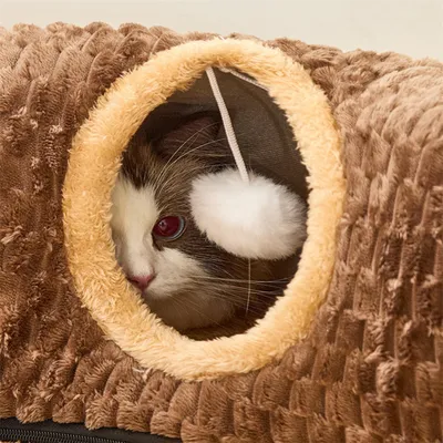 IntiMeg Tunnel en peluche pour chat pour jouer et dormir