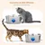 FurryFusion Fontaine à eau automatique pour chat en acier inoxydable