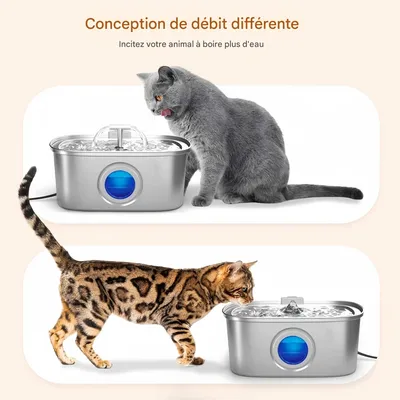 FurryFusion Fontaine à eau automatique pour chat en acier inoxydable