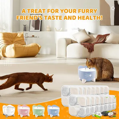 IntiMeg Filtre pour fontaine à eau pour animaux de compagnie (3 pièces)