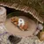 ZooVenture staubfreier Badesand für Hamster ZooVenture staubfreier Badesand für Hamster