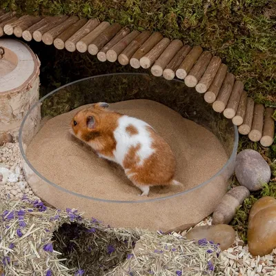 ZooVenture staubfreier Badesand für Hamster ZooVenture staubfreier Badesand für Hamster