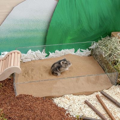 ZooVenture Staubfreier Badesand für Hamster