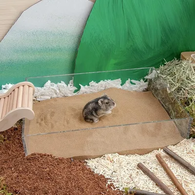 ZooVenture staubfreier Badesand für Hamster ZooVenture staubfreier Badesand für Hamster