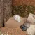 ZooVenture staubfreier Badesand für Hamster ZooVenture staubfreier Badesand für Hamster