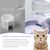 IntiMeg Ensemble de bols d'eau et de nourriture pour chien et chat