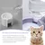 IntiMeg Ensemble de bols d'eau et de nourriture pour chien et chat
