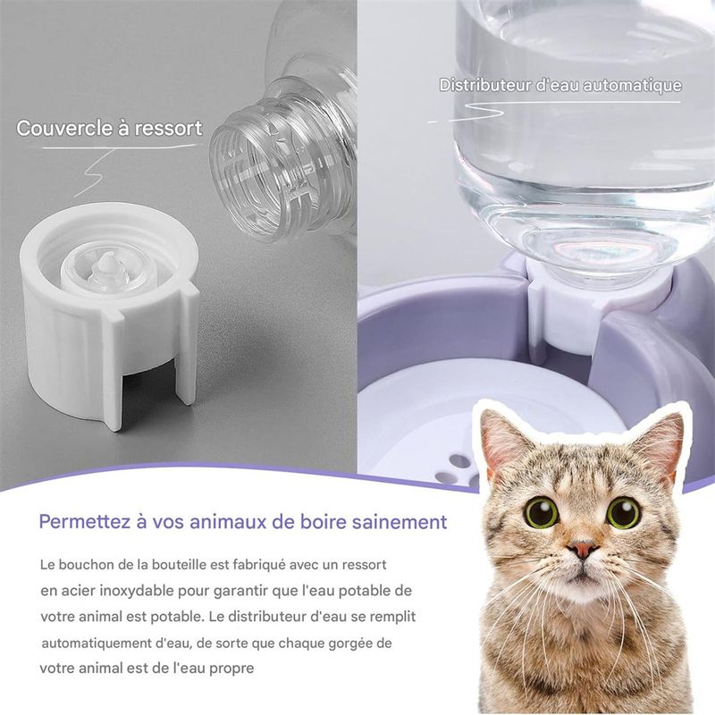 IntiMeg Ensemble de bols d'eau et de nourriture pour chien et chat
