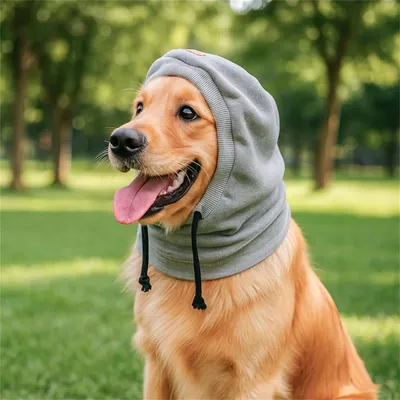 IntiMeg Windschutzhaube für Hunde