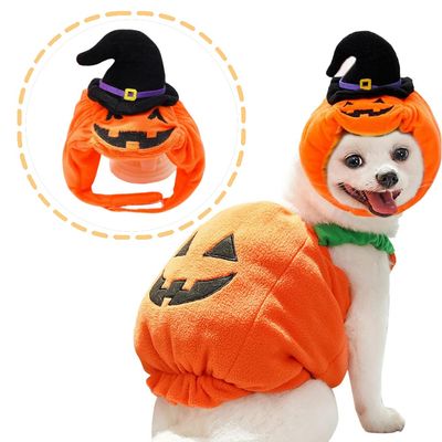 IntiMeg Chapeau de citrouille pour chien