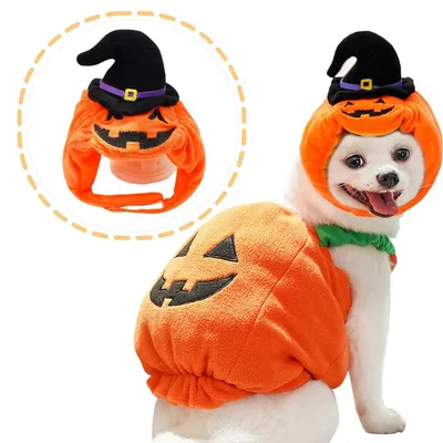 IntiMeg Chapeau de citrouille pour chien IntiMeg Chapeau de citrouille pour chien
