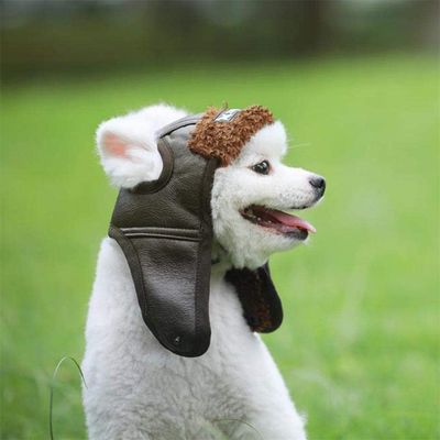 IntiMeg Gorro de aviador abrigado para perros