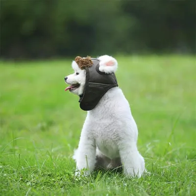 IntiMeg Warmer Fliegerhut für Hunde IntiMeg Warmer Fliegerhut für Hunde