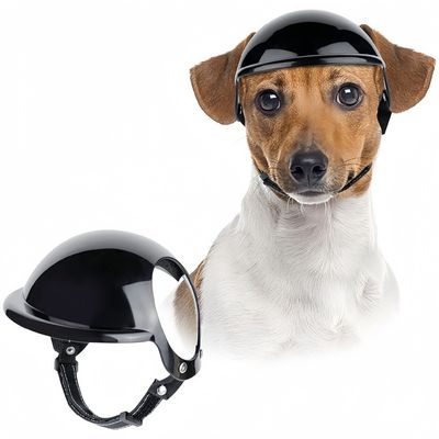 ZooVenture Casque de protection pour la tête de chien