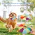 ZooVenture Jouets frisbee pour chiens