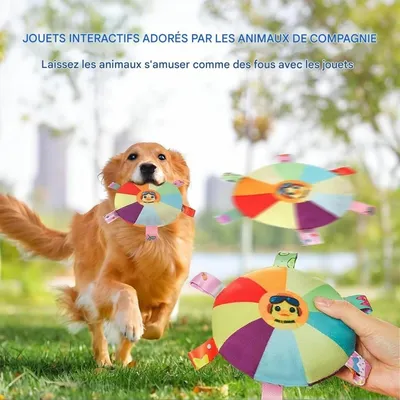 ZooVenture Jouets frisbee pour chiens