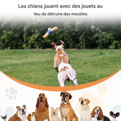 ZooVenture Jouet frisbee pour chiens