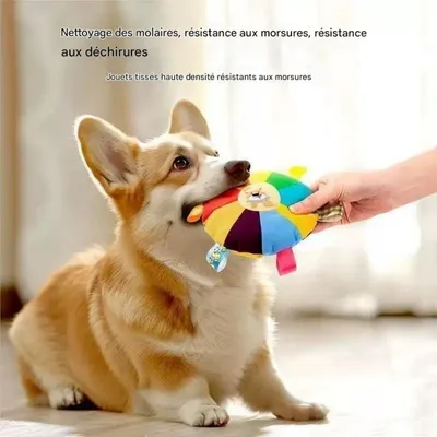 ZooVenture Jouets frisbee pour chiens