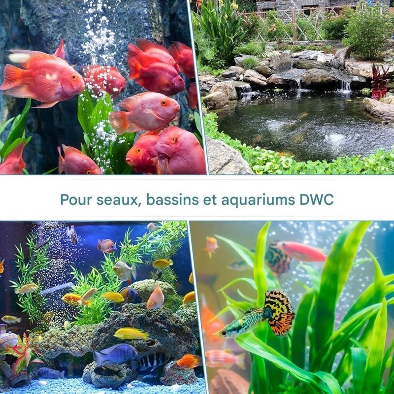 ZooVenture Pierre à air ronde pour aquarium