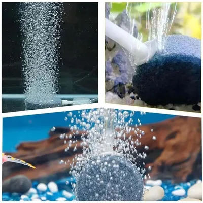 ZooVenture Lot de 6 disques de pierre à air pour aquarium