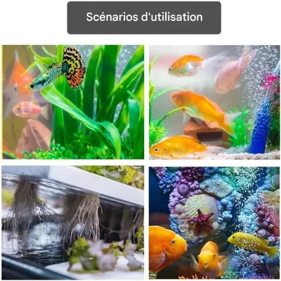 ZooVenture Lot de 6 disques de pierre à air pour aquarium