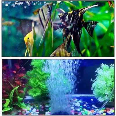 ZooVenture Lot de 6 disques de pierre à air pour aquarium