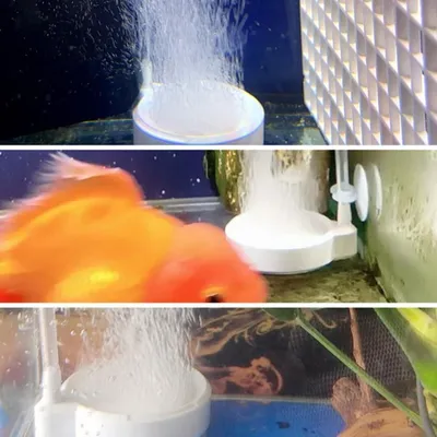 ZooVenture Pierre à air d'aquarium 50 mm