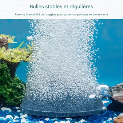 ZooVenture Pierre à air ronde pour aquarium