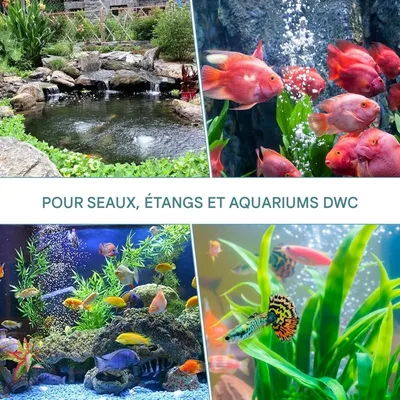 ZooVenture Pierre à air ronde pour aquarium