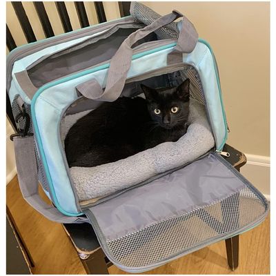ZooVenture Lit carré pour chats et chiots