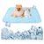 IntiMeg Matelas rafraîchissant pour animaux de compagnie