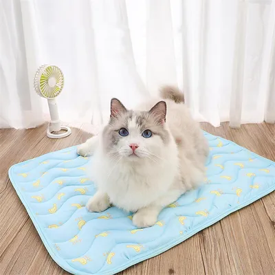 IntiMeg Matelas rafraîchissant pour animaux de compagnie