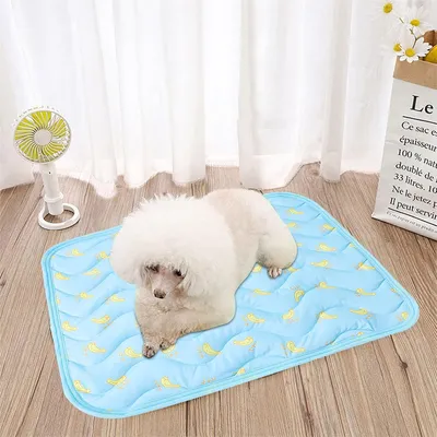 IntiMeg Matelas rafraîchissant pour animaux de compagnie